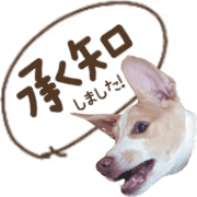 003