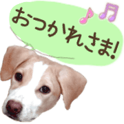 004