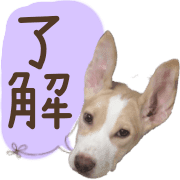 006