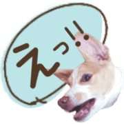 021