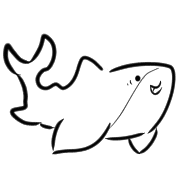 005
