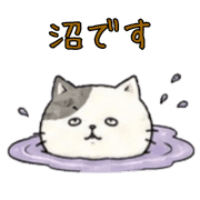 010
