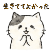 013