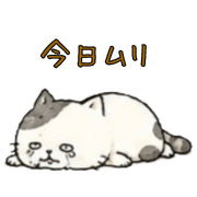 016