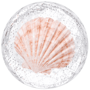 026