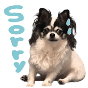040