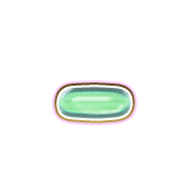251