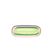 161