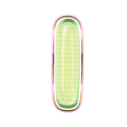 242