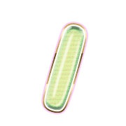 247