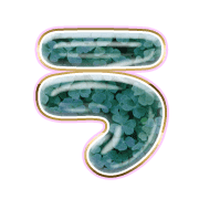 003