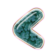 008