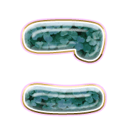 010