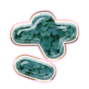 011