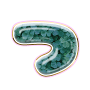 018
