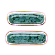 102