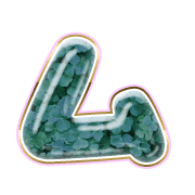 113