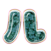 121
