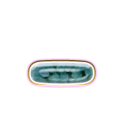 161