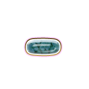 251