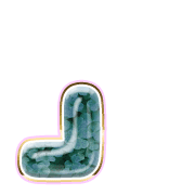 255