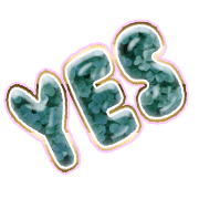 278