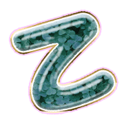 305