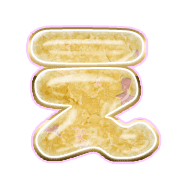 004