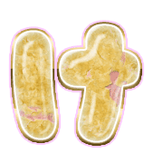 009