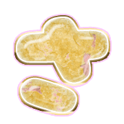 011