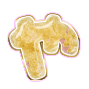 036