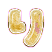 040