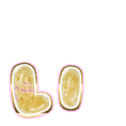 048