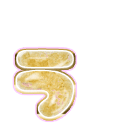 049