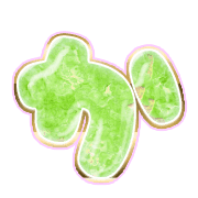 006
