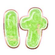 009