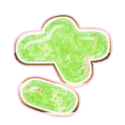 011