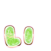 048
