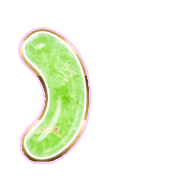 235