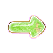 262