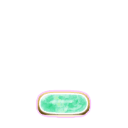 250