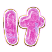 009