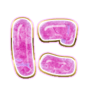 022