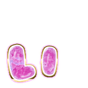 048