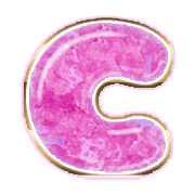 164