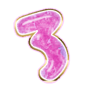 283