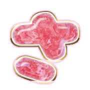 011