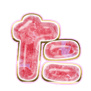 016