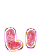 048