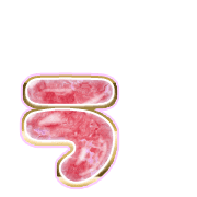 049
